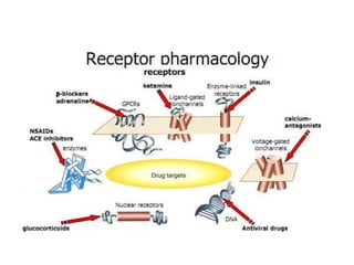 Receptor Pharmacology
