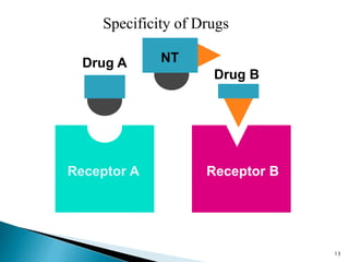 Receptor BReceptor A
NT
Specificity of Drugs
Drug A
Drug B
13
 