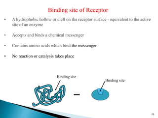 ENZYME
Binding site of Receptor
• A hydrophobic hollow or cleft on the receptor surface - equivalent to the active
site of an enzyme
• Accepts and binds a chemical messenger
• Contains amino acids which bind the messenger
• No reaction or catalysis takes place
Binding site
Binding site
20
 