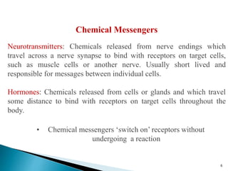 Chemical Messengers
Neurotransmitters: Chemicals released from nerve endings which
travel across a nerve synapse to bind with receptors on target cells,
such as muscle cells or another nerve. Usually short lived and
responsible for messages between individual cells.
Hormones: Chemicals released from cells or glands and which travel
some distance to bind with receptors on target cells throughout the
body.
• Chemical messengers ‘switch on’ receptors without
undergoing a reaction
6
 