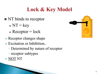  Receptor changes shape
 Excitation or Inhibition..
◦ Determined by nature of receptor
◦ receptor subtypes
 NOT NT
 NT binds to receptor
 NT = key
 Receptor = lock
9
 