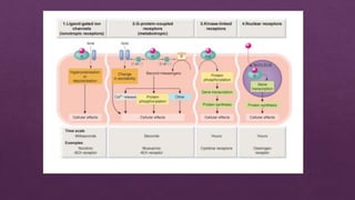 Receptor ppt
