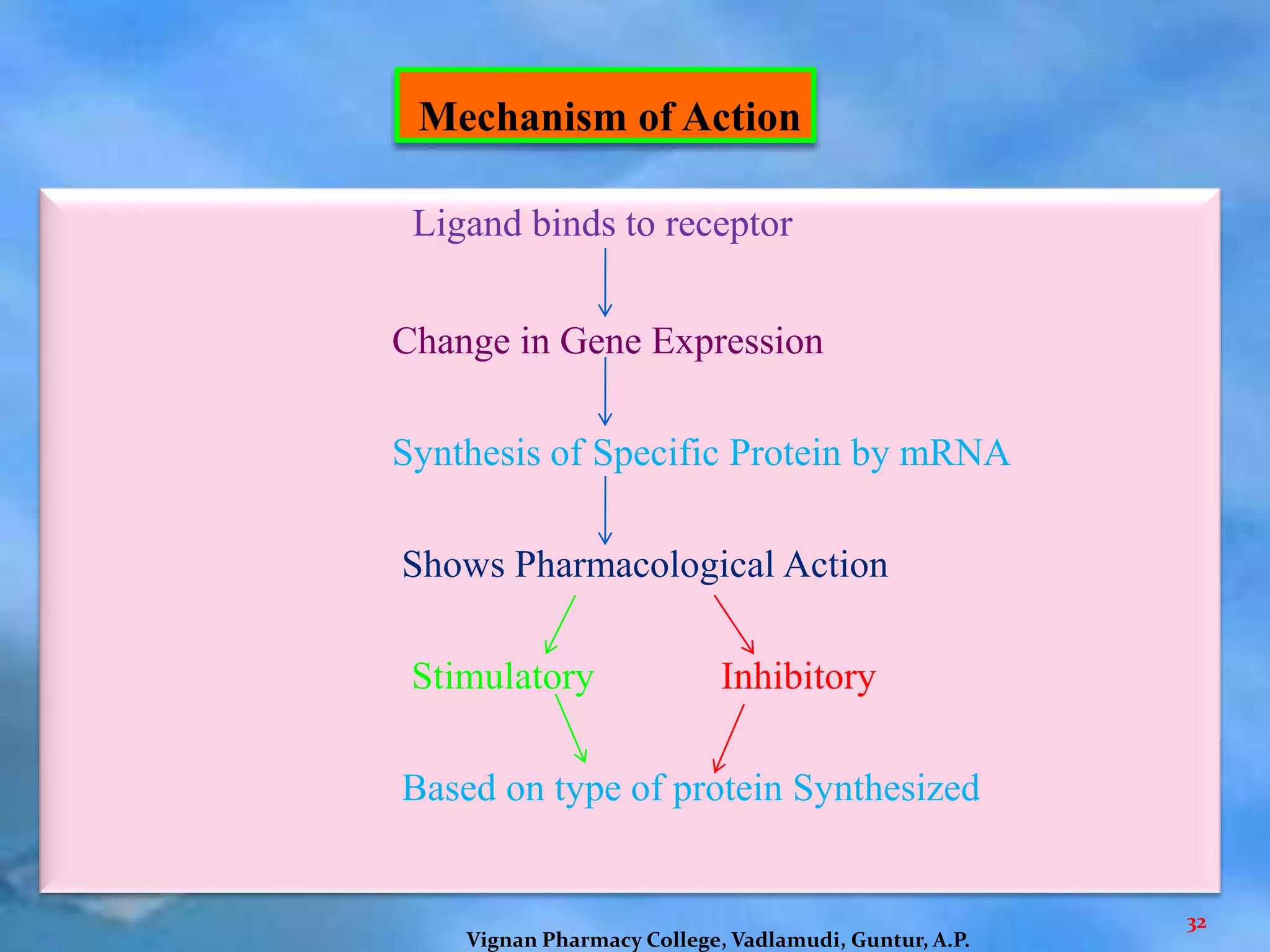 Mechanism of Action
Ligand binds to receptor
Change in Gene Expression
Synthesis of Specific Protein by mRNA
Shows Pharmacological Action
Stimulatory Inhibitory
Based on type of protein Synthesized
32
Vignan Pharmacy College, Vadlamudi, Guntur, A.P.
 