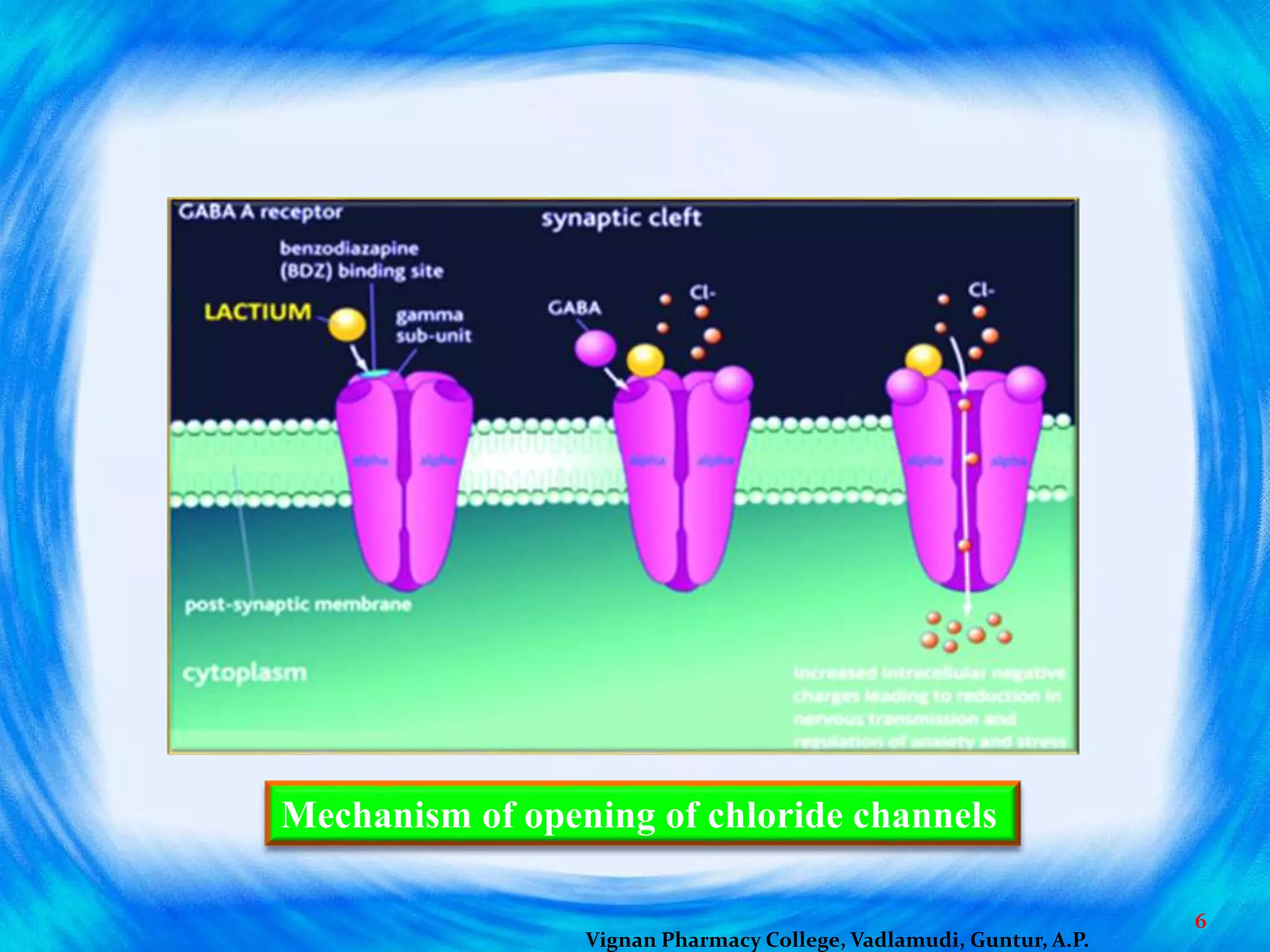 Mechanism of opening of chloride channels
6
Vignan Pharmacy College, Vadlamudi, Guntur, A.P.
 