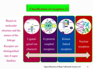 Receptors | PPTX
