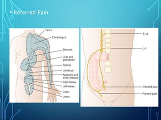 • Referred Pain
 