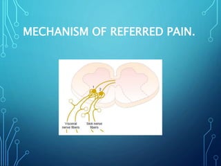 MECHANISM OF REFERRED PAIN.
 