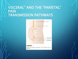VISCERAL” AND THE “PARIETAL”
PAIN
TRANSMISSION PATHWAYS
 
