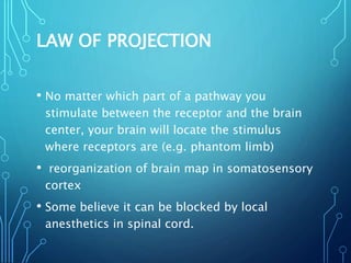 LAW OF PROJECTION
• No matter which part of a pathway you
stimulate between the receptor and the brain
center, your brain will locate the stimulus
where receptors are (e.g. phantom limb)
• reorganization of brain map in somatosensory
cortex
• Some believe it can be blocked by local
anesthetics in spinal cord.
 