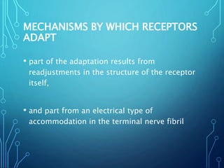 MECHANISMS BY WHICH RECEPTORS
ADAPT
• part of the adaptation results from
readjustments in the structure of the receptor
itself,
• and part from an electrical type of
accommodation in the terminal nerve fibril
 