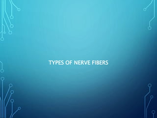 TYPES OF NERVE FIBERS
 