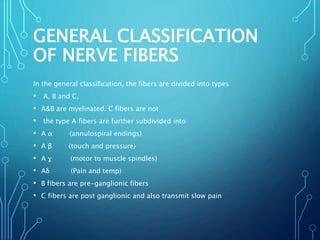 GENERAL CLASSIFICATION
OF NERVE FIBERS
In the general classification, the fibers are divided into types
• A, B and C,
• A&B are myelinated. C fibers are not
• the type A fibers are further subdivided into
• A α (annulospiral endings)
• A β (touch and pressure)
• A ɣ (motor to muscle spindles)
• Aδ (Pain and temp)
• B fibers are pre-ganglionic fibers
• C fibers are post ganglionic and also transmit slow pain
 