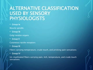 ALTERNATIVE CLASSIFICATION
USED BY SENSORY
PHYSIOLOGISTS
• Group Ia
Muscle spindle
• Group Ib
Golgi tendon organs
• Group II
Cutaneous tactile receptors
• Group III
Fibers carrying temperature, crude touch, and pricking pain sensations
• Group IV
Un-myelinated fibers carrying pain, itch, temperature, and crude touch
sensations
 