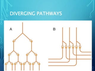 DIVERGING PATHWAYS
 