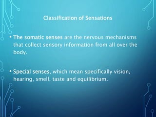 Classification of Sensations
• The somatic senses are the nervous mechanisms
that collect sensory information from all over the
body.
• Special senses, which mean specifically vision,
hearing, smell, taste and equilibrium.
 