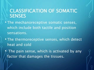 CLASSIFICATION OF SOMATIC
SENSES
• The mechanoreceptive somatic senses,
which include both tactile and position
sensations.
• The thermoreceptive senses, which detect
heat and cold
• The pain sense, which is activated by any
factor that damages the tissues.
 