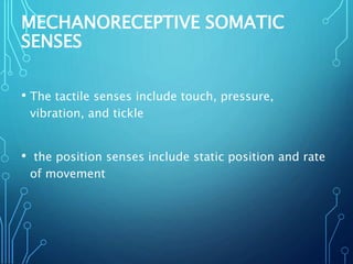 MECHANORECEPTIVE SOMATIC
SENSES
• The tactile senses include touch, pressure,
vibration, and tickle
• the position senses include static position and rate
of movement
 