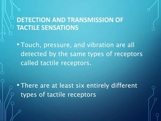 DETECTION AND TRANSMISSION OF
TACTILE SENSATIONS
• Touch, pressure, and vibration are all
detected by the same types of receptors
called tactile receptors.
• There are at least six entirely different
types of tactile receptors
 