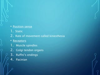 • Position sense
1. Static
2. Rate of movement called kinesthesia
• Receptors
1. Muscle spindles
2. Golgi tendon organs
3. Ruffni’s endings
4. Pacinian
 