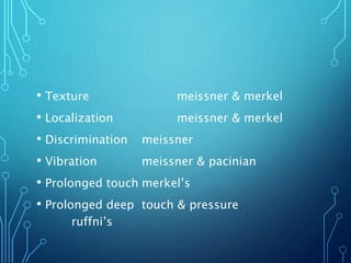 • Texture meissner & merkel
• Localization meissner & merkel
• Discrimination meissner
• Vibration meissner & pacinian
• Prolonged touch merkel’s
• Prolonged deep touch & pressure
ruffni’s
 