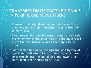 TRANSMISSION OF TACTILE SIGNALS
IN PERIPHERAL NERVE FIBERS
• Transmit their signals in type A-beta nerve fibers
that have transmission velocities ranging from 30
to 70 m/sec.
• free nerve ending tactile receptors transmit signals
mainly by way of the small type A-delta myelinated
fibers that conduct at velocities of only 5 to 30
m/sec.
• Some tactile free nerve endings transmit by way of
type C unmyelinated fibers (up to 2 m/sec;) these
send signals into the spinal cord and lower brain
stem, mainly the sensation of tickle.
 