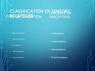 CLASSIFICATION OF SENSORY
RECEPTORSTYPE OF SENSATION
• Mechanoreceptors
• Thermoreceptors
• Nociceptors
• Electromagnetic
• Chemoreceptors
DISTANCE OF
PERCEPTION
• Teleceptors
• Exteroceptors
• Interoceptors
• Proprioceptors
 
