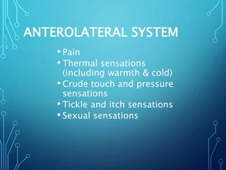 ANTEROLATERAL SYSTEM
• Pain
• Thermal sensations
(including warmth & cold)
• Crude touch and pressure
sensations
• Tickle and itch sensations
• Sexual sensations
 