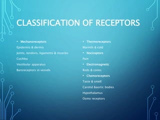 CLASSIFICATION OF RECEPTORS
• Mechanoreceptors
Epidermis & dermis
Joints, tendons, ligaments & muscles
Cochlea
Vestibular apparatus
Baroreceptors in vessels
• Thermoreceptors
Warmth & cold
• Nociceptors
Pain
• Electromagnetic
Rods & cones
• Chemoreceptors
Taste & smell
Carotid &aortic bodies
Hypothalamus
Osmo receptors
 