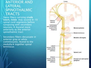 ANTERIOR AND
LATERAL
SPINOTHALMIC
TRACTS
Some fibers carrying crude
touch, tickle may ascend 8-10
spinal cord segments before
synapsing with secondary
neurons. Ascend more
anteriorly as the anterior
spinothalmic tract
Secondary fibers decussate in
anterior gray or white
commissures. Acend to the
medulla together spinal
lemniscus
 