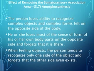 Effect of Removing the Somatosensory Association
Area—(5,7) Amorphosynthesis
• The person loses ability to recognize
complex objects and complex forms felt on
the opposite side of the body.
• He or she loses most of the sense of form of
his or her own body parts on the opposite
side and forgets that it is there .
• When feeling objects, the person tends to
recognize only one side of the object and
forgets that the other side even exists.
 