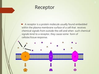Receptor
 A receptor is a protein molecule usually found embedded
within the plasma membrane surface of a cell that receives
chemical signals from outside the cell and when such chemical
signals bind to a receptor, they cause some form of
cellular/tissue response.
3
 