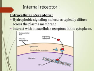 Internal receptor :
Intracellular Receptors :
Hydrophobic signaling molecules typically diffuse
across the plasma membrane
interact with intracellular receptors in the cytoplasm.
5
 