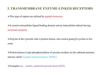 3. TRANSMEMBRANE ENZYME-LINKED RECEPTORS
This type of reptors are utilized by peptide hormones
It consist extracellular ligand binding domain and an intracellular subunit having
enzymatic property
Enzyme at the cytosolic side is protein kinase, also consist guanylyl cyclase in few
cases
Protein kinases Leads phosphorylattion of tyrosine residues on the substrate proteins
and are called ‘receptor tyrosine kinases’ (RTKs)
Examples are—insulin, epidermal growth factor (EGF)
 