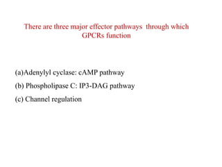 There are three major effector pathways through which
GPCRs function
(a)Adenylyl cyclase: cAMP pathway
(b) Phospholipase C: IP3-DAG pathway
(c) Channel regulation
 