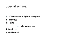 Special senses:
1. Vision-electromagnetic receptors
2. Hearing
3. Taste
chemoreceptors
4.Smell
5. Equilibrium
 