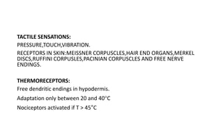 TACTILE SENSATIONS:
PRESSURE,TOUCH,VIBRATION.
RECEPTORS IN SKIN:MEISSNER CORPUSCLES,HAIR END ORGANS,MERKEL
DISCS,RUFFINI CORPUSLES,PACINIAN CORPUSCLES AND FREE NERVE
ENDINGS.
THERMORECEPTORS:
Free dendritic endings in hypodermis.
Adaptation only between 20 and 40C
Nociceptors activated if T > 45°C
 