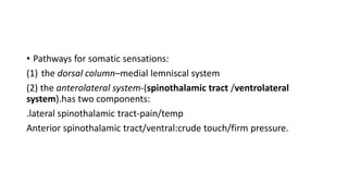 • Pathways for somatic sensations:
(1) the dorsal column–medial lemniscal system
(2) the anterolateral system-(spinothalamic tract /ventrolateral
system).has two components:
.lateral spinothalamic tract-pain/temp
Anterior spinothalamic tract/ventral:crude touch/firm pressure.
 