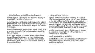 • dorsal column–medial lemniscal system:
carries signals upward to the medulla mainly in
the dorsal columns of the cord.
signals synapse and cross to the opposite side in
the medulla, they continue upward through the
brain stem to the thalamus by way of the medial
lemniscus.
Composed of large, myelinated nerve fibers that
transmit signals to the brain at velocities of 30
to 110 m/sec
has a high degree of spatial orientation of the
nerve fibers with respect to their origin thus
sensory information that must be transmitted
rapidly and with temporal and spatial fidelity is
transmitted here.
• Anterolateral system:
Signals immediately after entering the spinal
cord from the dorsal spinal nerve roots, synapse
in the dorsal horns of the spinal gray matter,
then cross to the opposite side of the cord and
ascend through the anterior and lateral white
columns of the cord. They terminate at all levels
of the lower brain stem and in the thalamus
smaller myelinated fibers that transmit signals
at velocities ranging from a few meters per
second up to 40 m/sec.
much less spatial orientation
ability to transmit a broad spectrum of sensory
modalities— pain, warmth, cold, and crude
tactile sensations
 