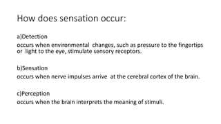 How does sensation occur:
a)Detection
occurs when environmental changes, such as pressure to the fingertips
or light to the eye, stimulate sensory receptors.
b)Sensation
occurs when nerve impulses arrive at the cerebral cortex of the brain.
c)Perception
occurs when the brain interprets the meaning of stimuli.
 