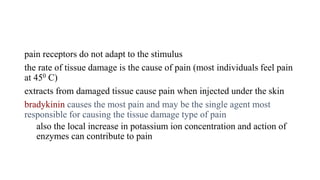 pain receptors do not adapt to the stimulus
the rate of tissue damage is the cause of pain (most individuals feel pain
at 450 C)
extracts from damaged tissue cause pain when injected under the skin
bradykinin causes the most pain and may be the single agent most
responsible for causing the tissue damage type of pain
also the local increase in potassium ion concentration and action of
enzymes can contribute to pain
 