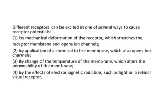 Different receptors can be excited in one of several ways to cause
receptor potentials:
(1) by mechanical deformation of the receptor, which stretches the
receptor membrane and opens ion channels;
(2) by application of a chemical to the membrane, which also opens ion
channels;
(3) By change of the temperature of the membrane, which alters the
permeability of the membrane;
(4) by the effects of electromagnetic radiation, such as light on a retinal
visual receptor,
 