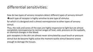 differential sensitivities:
how do two types of sensory receptors detect different types of sensory stimuli?
each type of receptor is highly sensitive to one type of stimulus
for which it is designed and is almost nonresponsive to other types of sensory
stimuli.
Thus, the rods and cones of the eyes are highly responsive to light but are almost
completely nonresponsive to normal ranges of heat, cold, pressure on the eyeballs,
or chemical changes in the blood.
pain receptors in the skin are almost never stimulated by usual touch or pressure
stimuli but do become highly active the moment tactile stimuli become severe
enough to damage the tissues.
 