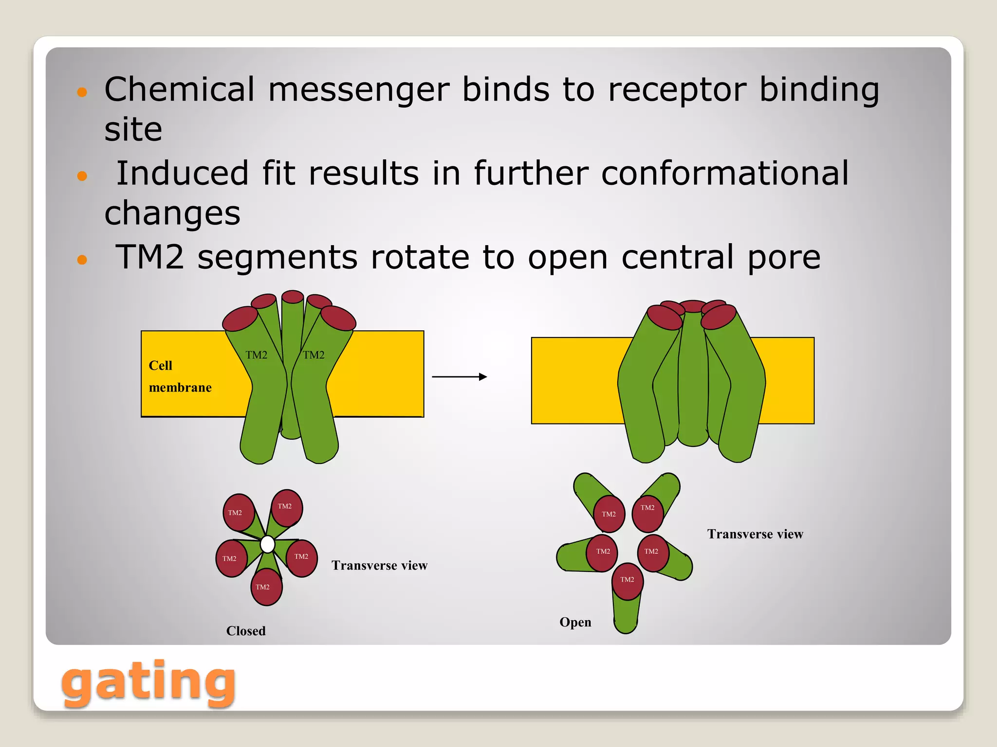 Receptors Types and details | PPT