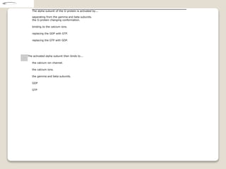 The alpha subunit of the G-protein is activated by...
separating from the gamma and beta subunits.
the G-protein changing conformation.
binding to the calcium ions.
replacing the GDP with GTP.
replacing the GTP with GDP.
The activated alpha subunit then binds to...
the calcium ion channel.
the calcium ions.
the gamma and beta subunits.
GDP
GTP
 