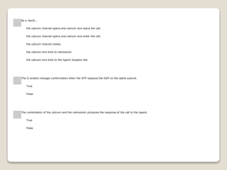 As a result...
the calcium channel opens and calcium ions leave the cell.
the calcium channel opens and calcium ions enter the cell.
the calcium channel closes.
the calcium ions bind to calmodulin.
the calcium ions bind to the ligand receptor site.
The G-protein changes conformation when the GTP replaces the GDP on the alpha subunit.
True
False
The combination of the calcium and the calmodulin produces the response of the cell to the ligand.
True
False
 