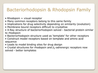 Bacteriorhodopsin & Rhodopsin Family
• Rhodopsin = visual receptor
• Many common receptors belong to this same family
• Implications for drug selectivity depending on similarity (evolution)
• Membrane bound receptors difficult to crystallise
• X-Ray structure of bacteriorhodopsin solved - bacterial protein similar
to rhodopsin
• Bacteriorhodopsin structure used as ‘template’ for other receptors
• Construct model receptors based on template and amino acid
sequence
• Leads to model binding sites for drug design
• Crystal structures for rhodopsin and b2-adrenergic receptors now
solved - better templates
 