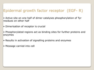 • Active site on one half of dimer catalyses phosphorylation of Tyr
residues on other half
• Dimerisation of receptor is crucial
• Phosphorylated regions act as binding sites for further proteins and
enzymes
• Results in activation of signalling proteins and enzymes
• Message carried into cell
Epidermal growth factor receptor (EGF- R)
 