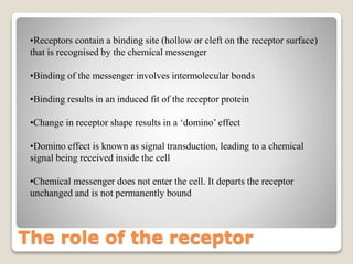 The role of the receptor
•Receptors contain a binding site (hollow or cleft on the receptor surface)
that is recognised by the chemical messenger
•Binding of the messenger involves intermolecular bonds
•Binding results in an induced fit of the receptor protein
•Change in receptor shape results in a ‘domino’ effect
•Domino effect is known as signal transduction, leading to a chemical
signal being received inside the cell
•Chemical messenger does not enter the cell. It departs the receptor
unchanged and is not permanently bound
 