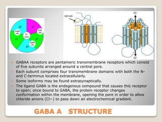  GABAA receptors are pentameric transmembrane receptors which consist
of five subunits arranged around a central pore.
 Each subunit comprises four transmembrane domains with both the N-
and C-terminus located extracellularly.
 Some isoforms may be found extrasynaptically.
 The ligand GABA is the endogenous compound that causes this receptor
to open; once bound to GABA, the protein receptor changes
conformation within the membrane, opening the pore in order to allow
chloride anions (Cl−) to pass down an electrochemical gradient.
GABA A STRUCTURE
 