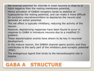 GABA A STRUCTURE
 the reversal potential for chloride in most neurons is close to or
more negative than the resting membrane potential,
 Hence activation of GABAA receptors tends to stabilize or
hyperpolarise the resting potential, and can make it more difficult
for excitatory neurotransmitters to depolarize the neuron and
generate an action potential.
 The net effect is typically inhibitory, reducing the activity of the
neuron.
 However, depolarizing responses have been found to occur in
response to GABA in immature neurons due to a modified Cl-
gradient.
 These depolarization events have shown to be key in neuronal
development.
 In the mature neuron, the GABAA channel opens quickly and thus
contributes to the early part of the inhibitory post-synaptic potential
(IPSP).
 The endogenous ligand that binds to the benzodiazepine site is
inosine.
 